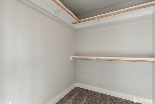 2630LOT12 Sievers Way, Ferndale, WA 98248 - walk in closet featuring carpet
