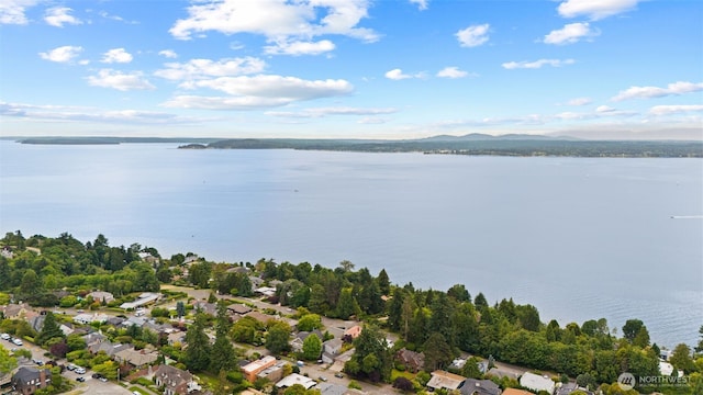 3015 44th Ave W, Seattle, WA 98199 - aerial view of property's location with a water and mountain view and nearby suburban area
