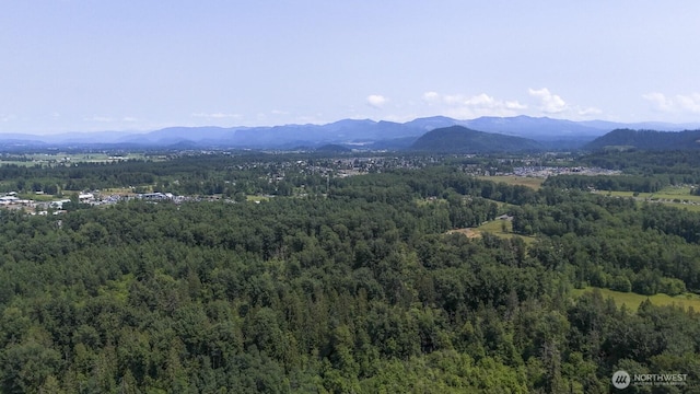12107 Mundy Loss Rd E, Buckley, WA 98321 - view of mountain backdrop featuring a heavily wooded area
