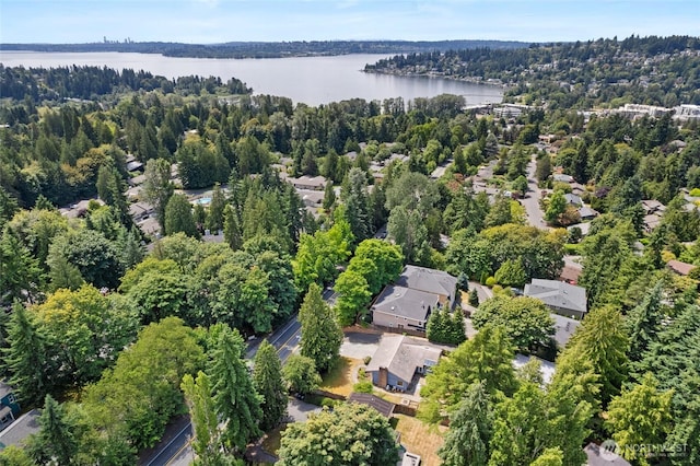 10438 NE 116th St, Kirkland, WA 98034 - photo 27