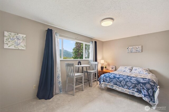 369 E Birnie Slough Rd, Cathlamet, WA 98612 - photo 17