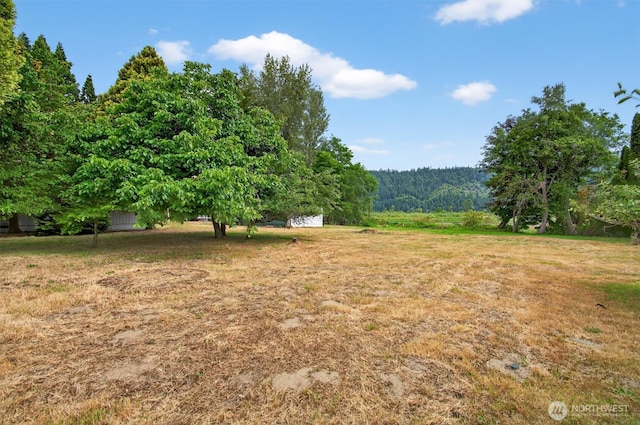 369 E Birnie Slough Rd, Cathlamet, WA 98612 - photo 23
