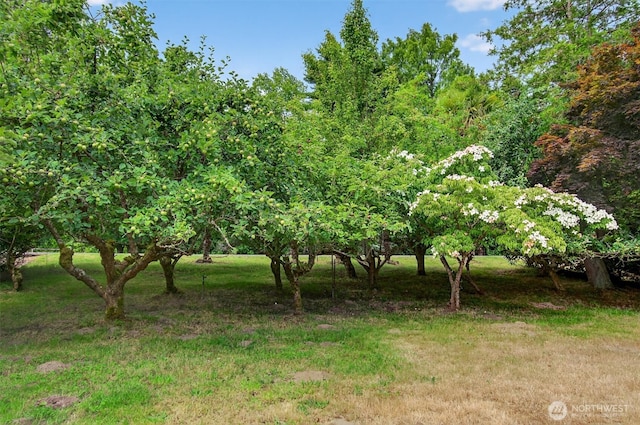 369 E Birnie Slough Rd, Cathlamet, WA 98612 - photo 24
