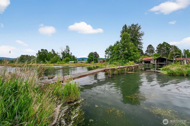 369 E Birnie Slough Rd, Cathlamet, WA 98612 - photo 32