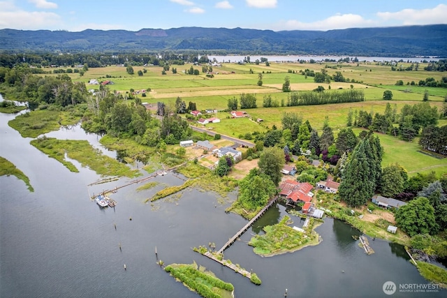 369 E Birnie Slough Rd, Cathlamet, WA 98612 - photo 34