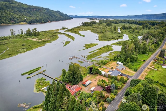 369 E Birnie Slough Rd, Cathlamet, WA 98612 - photo 36