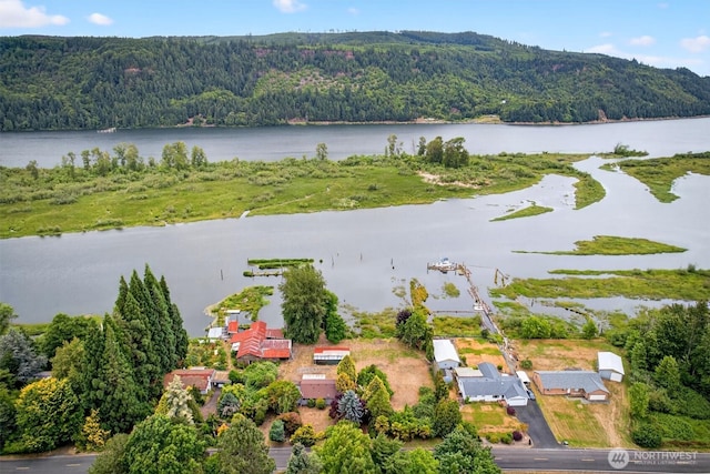 369 E Birnie Slough Rd, Cathlamet, WA 98612 - photo 37