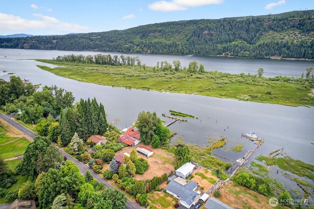 369 E Birnie Slough Rd, Cathlamet, WA 98612 - photo 38