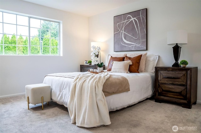 315E Park St Unit A22, North Bend, WA 98045 - carpeted bedroom featuring baseboards