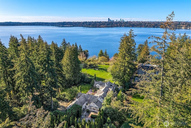 1135 Evergreen Point Rd, Medina, WA 98039 - view of property location with a large body of water