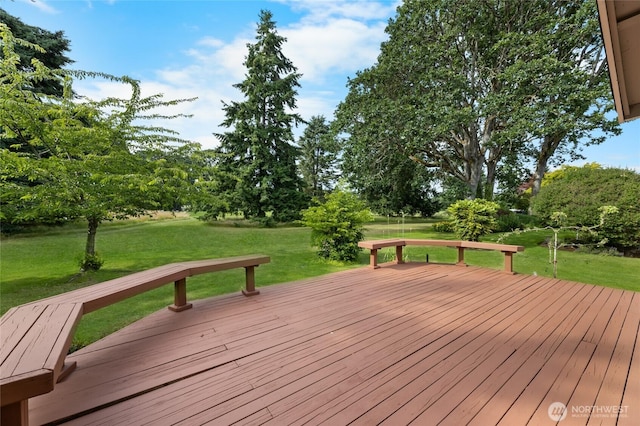 8505 Onyx Dr SW, Lakewood, WA 98498 - photo 20