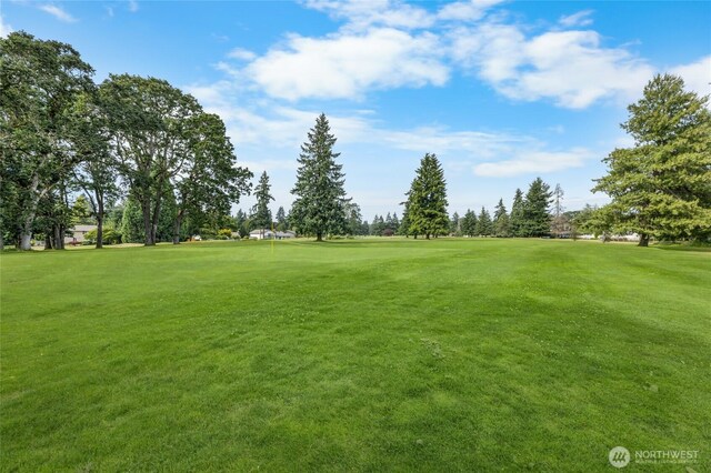 8505 Onyx Dr SW, Lakewood, WA 98498 - photo 22