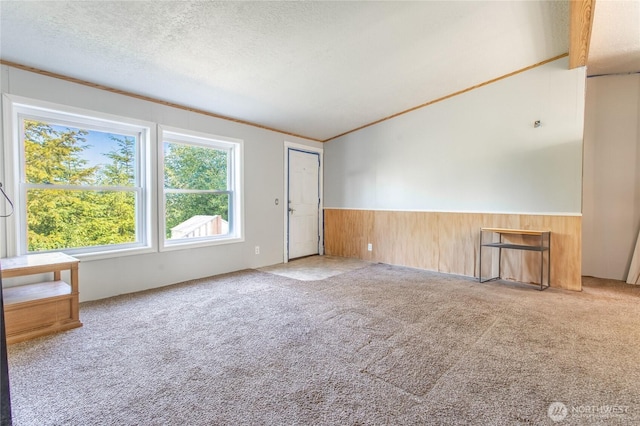 19412 Vantage Ln, Onalaska, WA 98570 - spare room with healthy amount of natural light, wainscoting, carpet, wood walls, and a textured ceiling