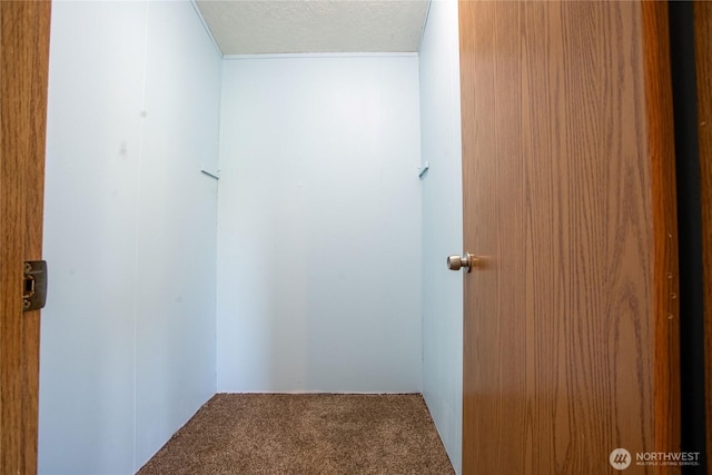 19412 Vantage Ln, Onalaska, WA 98570 - corridor featuring carpet and a textured ceiling
