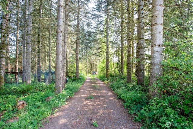 19412 Vantage Ln, Onalaska, WA 98570 - view of dirt / gravel road with a view of trees