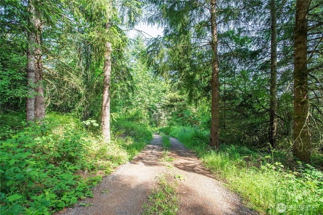 19412 Vantage Ln, Onalaska, WA 98570 - view of dirt / gravel road featuring a forest view