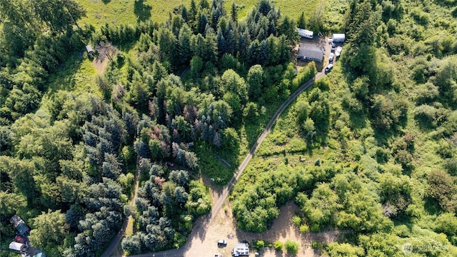 19412 Vantage Ln, Onalaska, WA 98570 - aerial view of property's location with a forest
