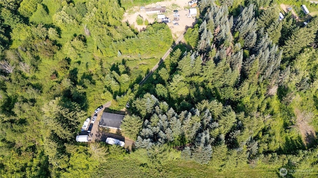19412 Vantage Ln, Onalaska, WA 98570 - bird's eye view of a forest
