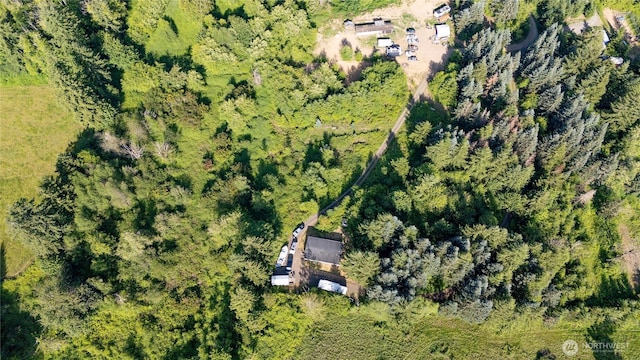 19412 Vantage Ln, Onalaska, WA 98570 - drone / aerial view