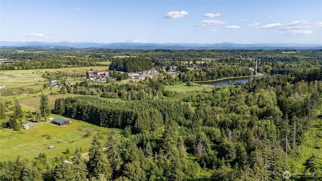 19412 Vantage Ln, Onalaska, WA 98570 - bird's eye view of a forest and a water and mountain view