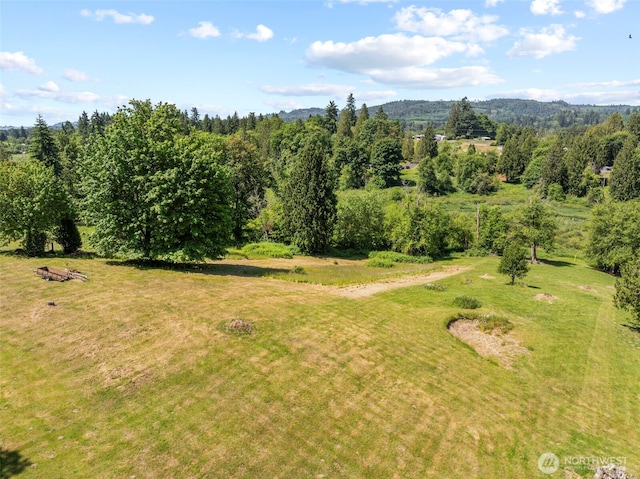 0 Nob Ln, Kelso, WA 98626 - photo 9