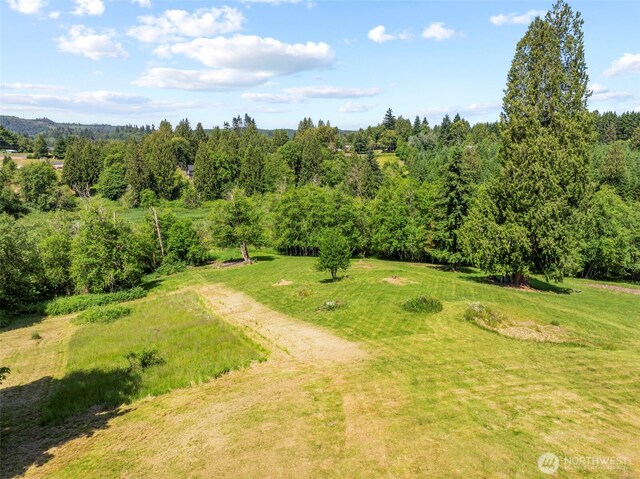 0 Nob Ln, Kelso, WA 98626 - photo 10