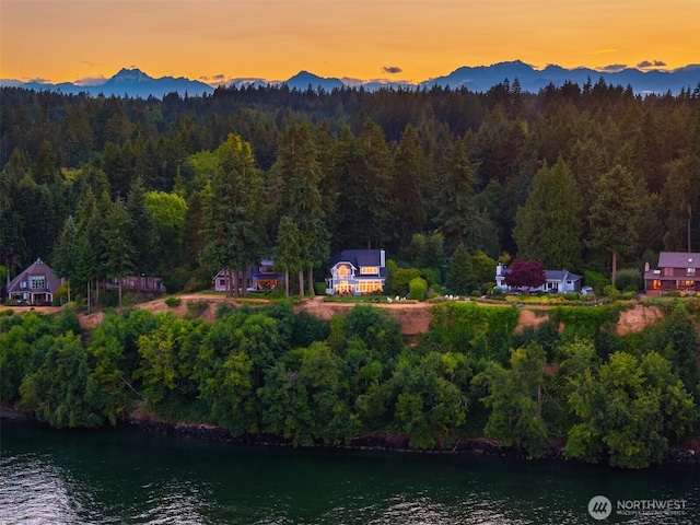 10668 NE Manor Ln, Bainbridge Island, WA 98110 - photo 40
