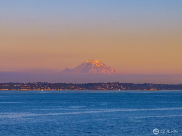 10668 NE Manor Ln, Bainbridge Island, WA 98110 - photo 6