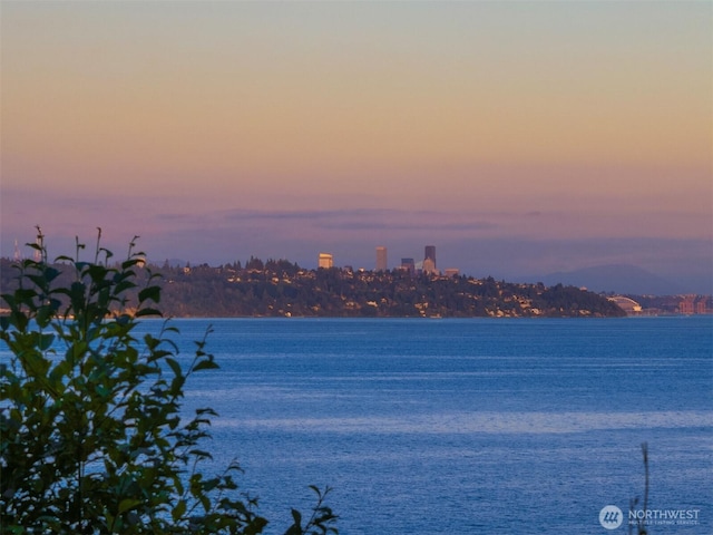 10668 NE Manor Ln, Bainbridge Island, WA 98110 - photo 7