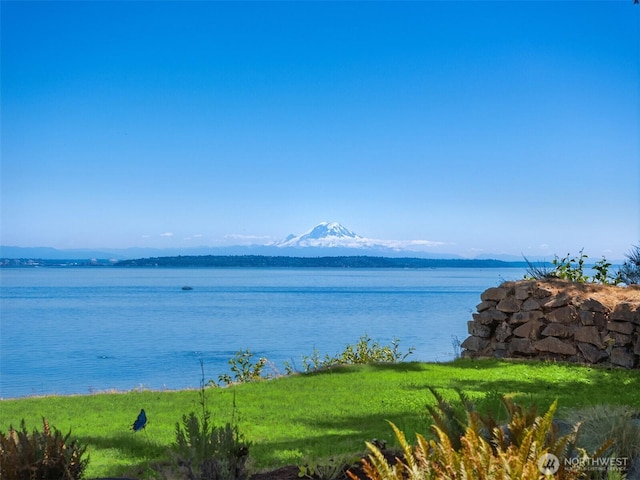 10668 NE Manor Ln, Bainbridge Island, WA 98110 - photo 9