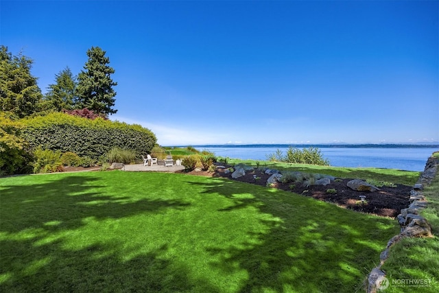 10668 NE Manor Ln, Bainbridge Island, WA 98110 - photo 35