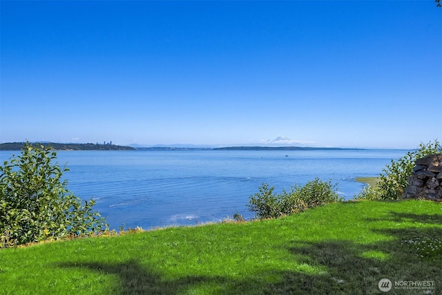 10668 NE Manor Ln, Bainbridge Island, WA 98110 - photo 36