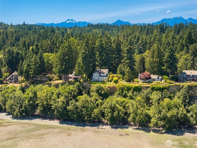 10668 NE Manor Ln, Bainbridge Island, WA 98110 - photo 39