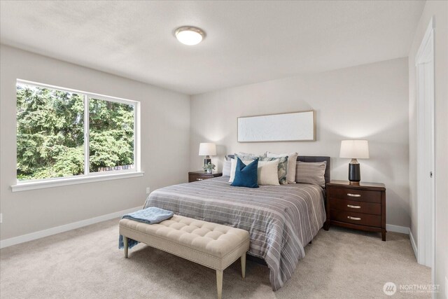711 S 96th St, Tacoma, WA 98444 - bedroom featuring light colored carpet