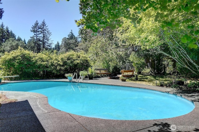 16006 Spanaway Loop Rd S, Spanaway, WA 98387 - photo 23