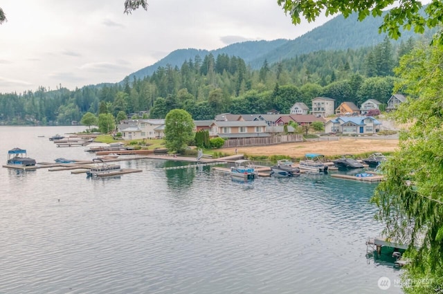 352 Maple Grove Rd, Port Angeles, WA 98363 - photo 39