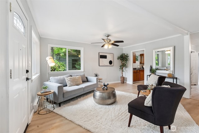 826 S Trenton St, Seattle, WA 98108 - photo 4