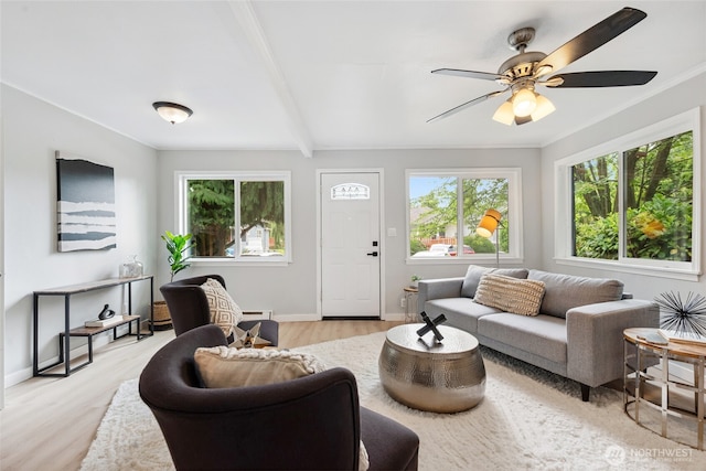 826 S Trenton St, Seattle, WA 98108 - photo 5