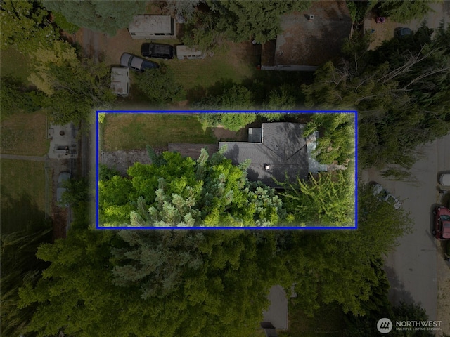 826 S Trenton St, Seattle, WA 98108 - photo 38