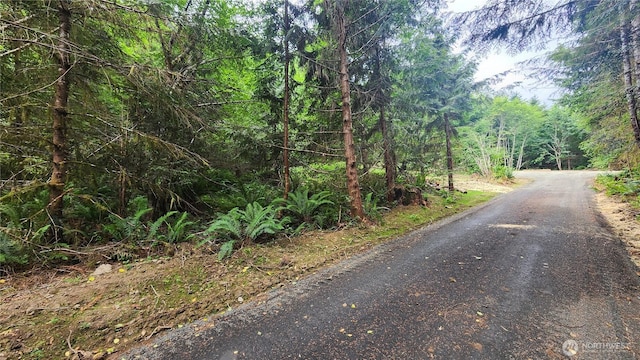 5728 Duane Ln NW, Olympia, WA 98502