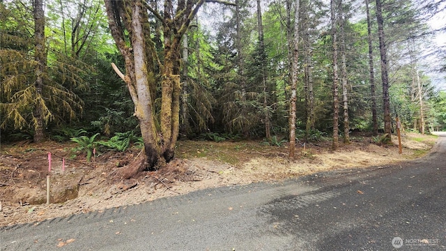 5728 Duane Ln NW, Olympia, WA 98502