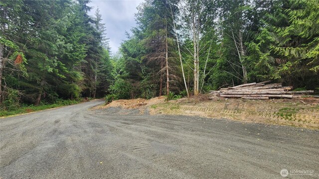 5742 Duane Ln NW, Olympia, WA 98502 - photo 16