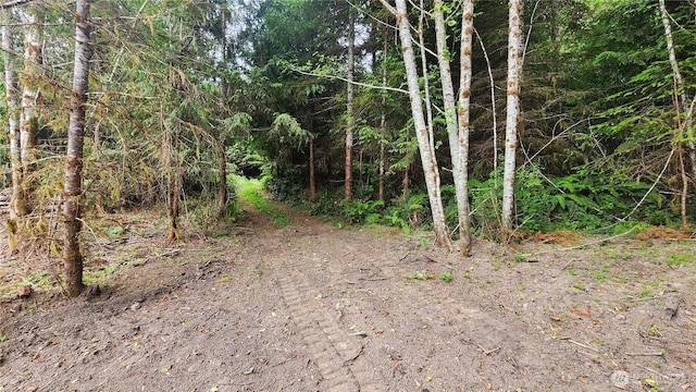 5742 Duane Ln NW, Olympia, WA 98502 - photo 18