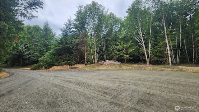 5742 Duane Ln NW, Olympia, WA 98502 - photo 19