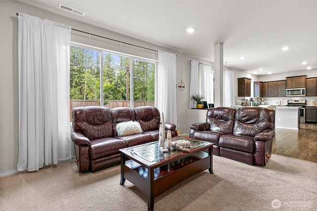 19807 152nd Street Ct E, Bonney Lake, WA 98391 - photo 15