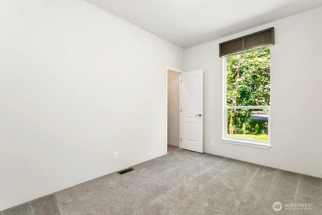 7030 Steamboat Island Rd NW, Olympia, WA 98502 - photo 22