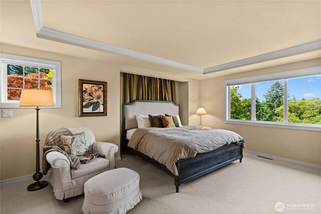6903 94th Street Ct NW, Gig Harbor, WA 98332 - photo 14