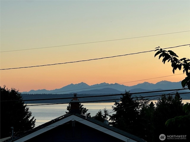 6903 Fauntleroy Way SW, Seattle, WA 98136 - view of mountain background
