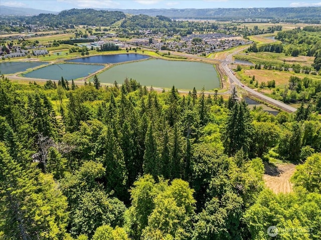 0 Bergly Ln, Longview, WA 98632 - photo 4