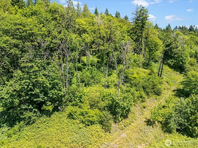 0 Bergly Ln, Longview, WA 98632 - photo 6